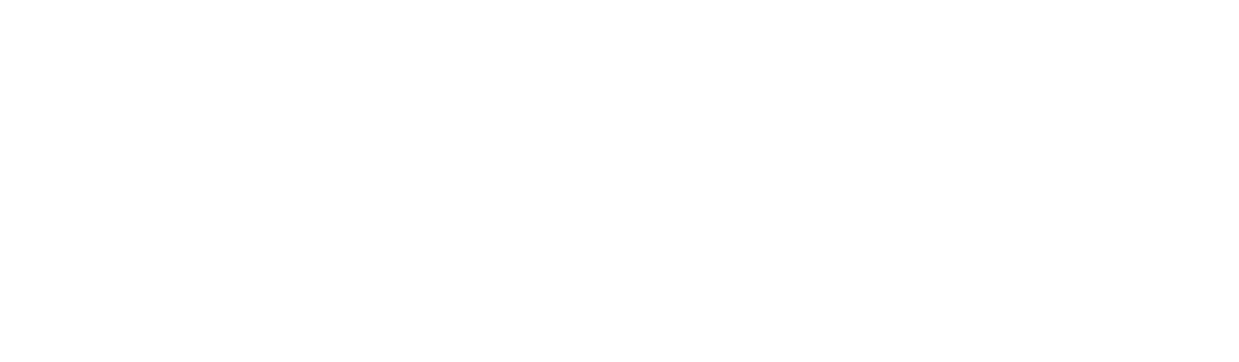 Schenker logo